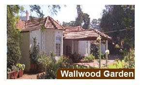 Wallwood Garden