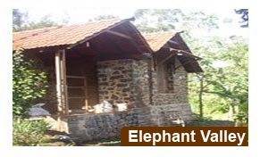 Elephant Valley Kodaikanal