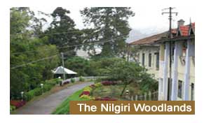 Hotel The Nilgiri Woodlands Ooty