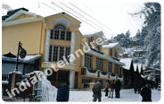 Hotel Willow Banks, Shimla