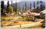 Monsoon Packages for Manali