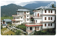 Palampur Hotel Packages