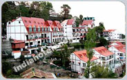 Kasauli Resort, Shimla