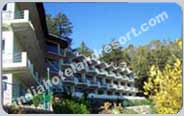 Kausani Hotel Packages