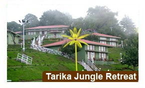 Hotel Tarika Jungle Retreat