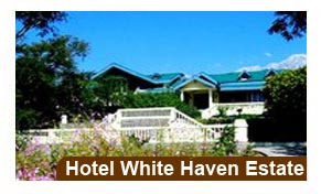 Hotel White Haven Estate