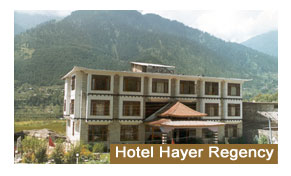 Hotel Hayer Regency  Manali