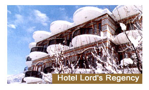 Hotel Lords Regency Manali
