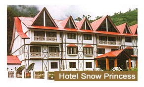 Hotel Snow Princess Manali