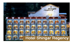 Hotel Shingar Regency Manali