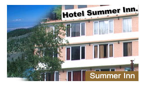 Hotel Summer Inn Manali