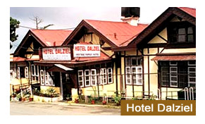 Hotel Dalziel in Shimla