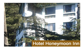 Hotel Honeymoon Inn  Shimla