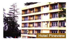 Hotel Pineview in Shimla