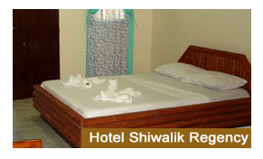 Hotel Shiwalik Regency in Shimla