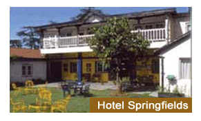 Hotel Springfields Shimla