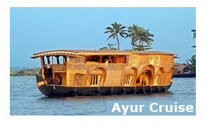 Ayur Cruise