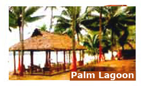 Palm Lagoon Resorts