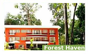 Forest Haven Resort