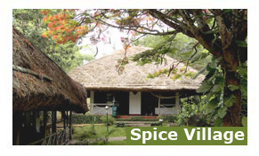 Hotel Spice Village