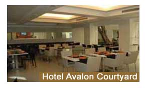 Hotel Avalon Courtyard New Delhi