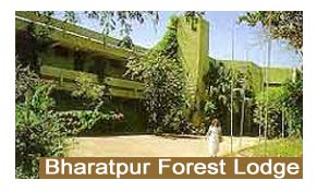 Bharatpur Forest Lodge Bharatpur
