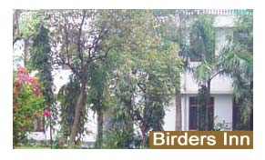 Birder's Inn Bharatpur