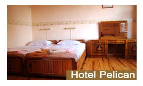 Hotel Pelican Bharatpur