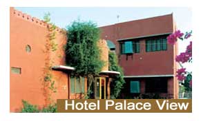 Hotel Palace View Bikaner