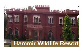 Hammir Wildlife Resort Ranthambore