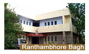 Ranthambore Bagh Ranthambore