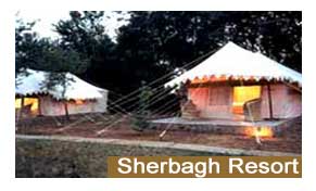 Sherbagh Resort Ranthambore
