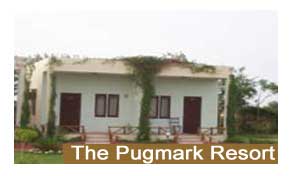 The Pugmark Resort Ranthambore