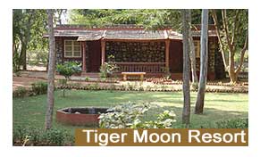 Tiger Moon Resort Ranthambore