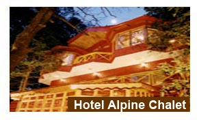 Hotel Alpine Chalet Nainital