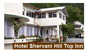 Hotel Shervani Hill Top Inn Nainital