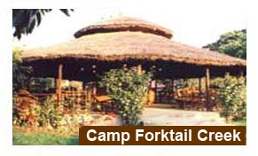 Camp Forktail Creek Resort, Corbett