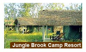 ungle Brook Camp Resort, Corbett