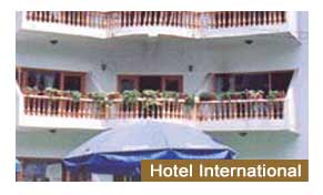 Hotel International Srinagar