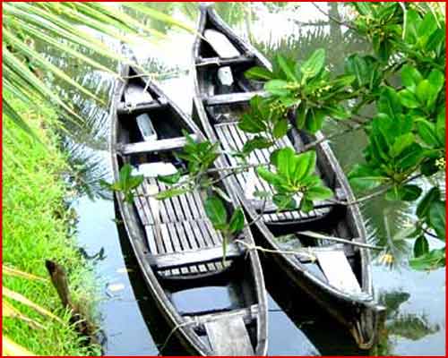 Coconut Lagoon Boats