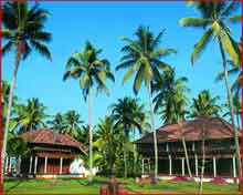 Coconut Lagoon Garden