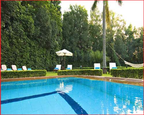Taj Sawai Madhopur Lodge - Swimming Pool
