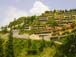 Avalon Resorts