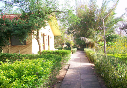 Bandhavgarh Jungle Lodge 