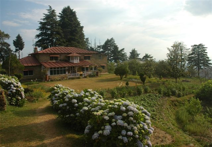 Bobs Place