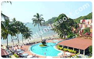 Cicade De Goa, Goa