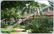 Dona Sylvia, Goa