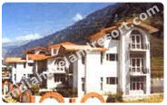 De Vivendi Resort, Manali