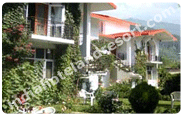 De Vivendi Resort, Manali