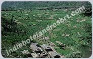 Monsoon Packages for Kufri